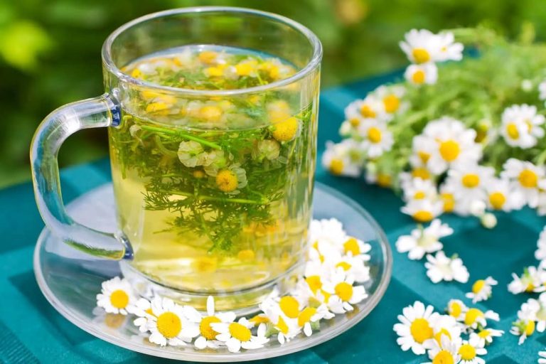 What are Chamomile Tea Benefits
