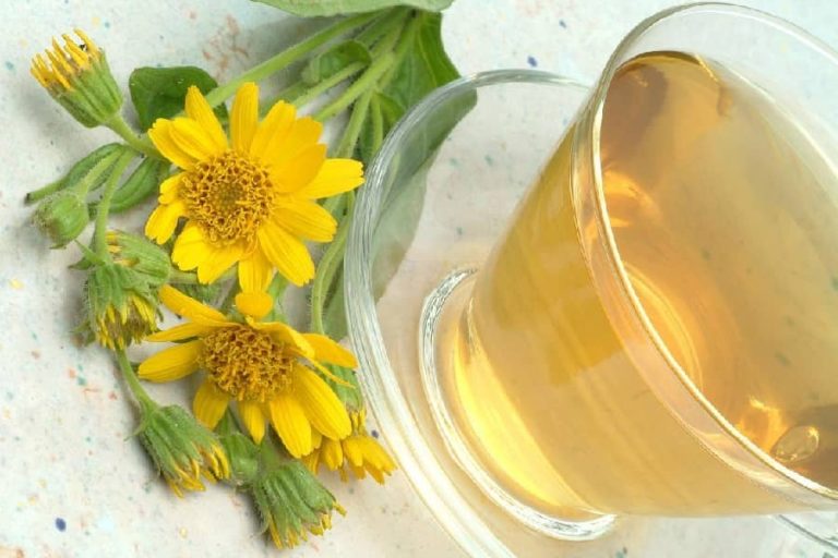 What is Arnica Tea Good For?