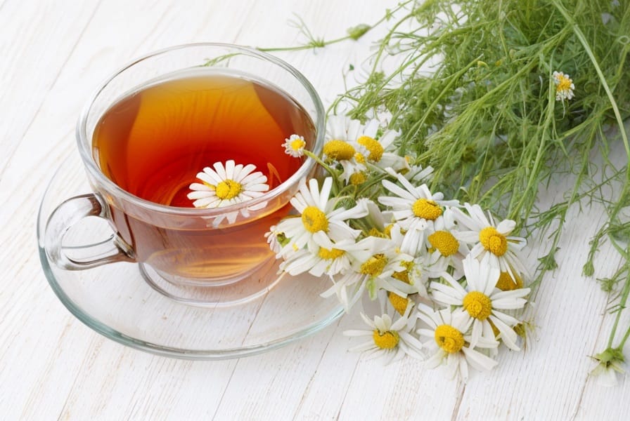 Organic Chamomile Tea The Soothing and Natural Experience