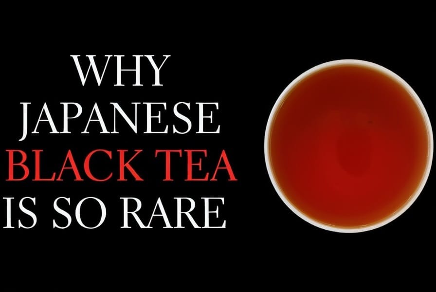 Why is Japanese Black Tea so Rare