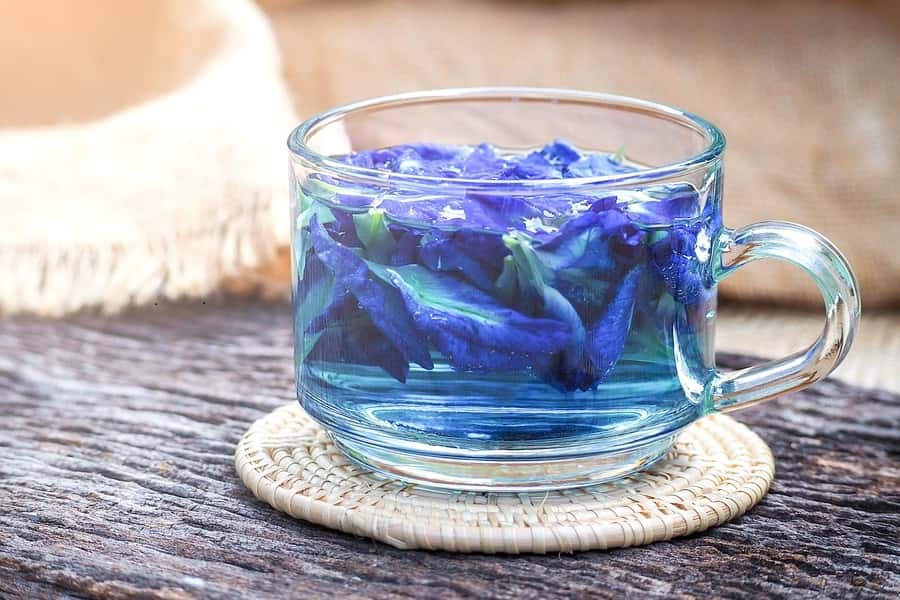 Butterfly Pea Flower Tea A Vibrant and Nutritious Beverage