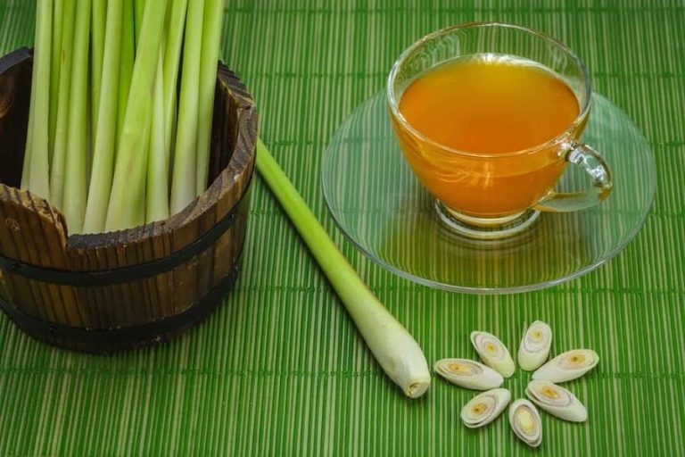 The Benefits of Lemongrass Tea: A Refreshing and Healthy Beverage