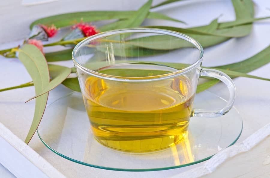 What Is Eucalyptus Tea Good For